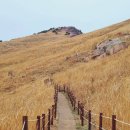 옥천매표소 이미지