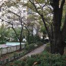 강남-163 이미지