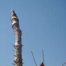 파주농장 이미지