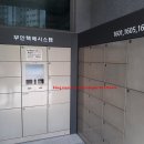 나비피부과의원 이미지