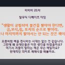하루하나하브루타