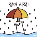 모토카워시 이미지