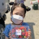 봄이네농장 이미지