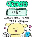 까치노래연습장 | 8월이야기 (1)