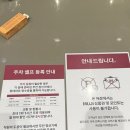 롯데마트제주점아모레매장 | 제주 노형동 무인양품 MUJI 롯데마트 제주점 다녀온 솔직후기 추천템 주차정보