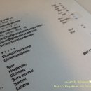 피자알리오 이미지