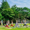 힐링요가(8시) 이미지