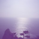 음매 이미지