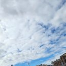 홈즈펫타운 이미지