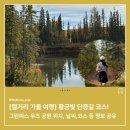 지금부터 한 걸음 도심 속 러닝 | [캘거리 가을 여행 추천] 그리피스 우즈 공원 단풍길 따라 달리는 러닝코스 &amp; 힐링 산책로
