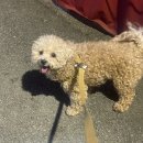 영서농장 이미지