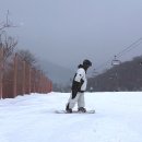 서울근교 곤지암리조트 스키장 리프트권 식당 할인 방법