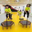 품다태권도장 이미지