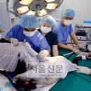 그랜드24시동물병원 이미지