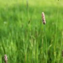 구지동물병원 이미지