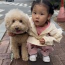 연세웰이비인후과의원 이미지