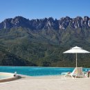 소노펠리체 델피노 이미지