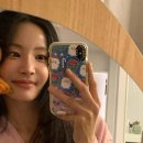 연우이용 티스토리