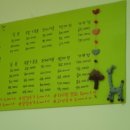 고로고로펫 이미지