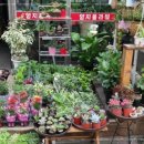 양지2호 이미지