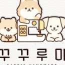 루미팜