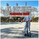 맥시북 | 아이와 봄꽃 산책, 북서울꿈의숲 킥보드 꿀팁