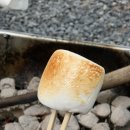 요기는캠핑장 이미지