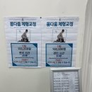 오장육부 | 미사 몸다움체형교정에서 복부관리 받은 후기 오장육부 기능을 회복시켜 주는 관리 추천