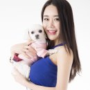 사진공방172 이미지