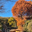 유관순열사 생가 화장실 이미지