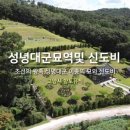 성녕대군묘 및 신도비 이미지