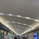 모두미 | 우즈 OUT OF TIME ARTIFACTS (OOTART) POP-UP 더현대 팝업 첫날 방문 후기