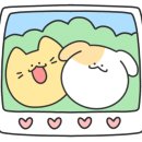 카페감땅