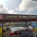 할머니운저리횟집