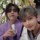 쿱스 티스토리