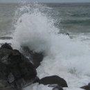 아이올래 이미지