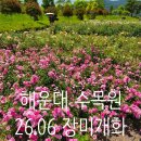 6월 부산여행추천, 아이와 가볼만한곳 해운대수목원 나들이 (입장료X)