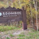 복주산자연휴양림 이미지