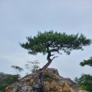 영덕3 이미지