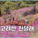 수채화 초급 | 강화 고려산 진달래 축제 등산코스 산행 후기