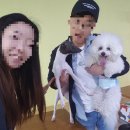 모모몽 애견까페 이미지