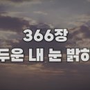 8월 19일 금요일 이미지