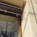 체리부로안성 네이버블로그