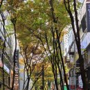 토론토치과의원 이미지