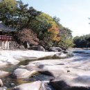 봉자도너츠 이미지