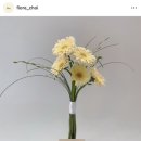 몇 주 동안 알아본 웨딩 촬영 부케 꽃 종류