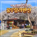 룰루랄라 | 서울근교 아이랑 가기 좋은 양평 룰루랄라펜션 독채풀빌라 애견동반 솔직후기