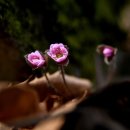 신길 마을회관 이미지