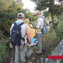 국립공원관리공단 한려해상국립공원동부사무소 이미지