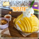 남원 망고빙수 맛집 &lt;월향재&gt; 카페 후기 (feat. 노란꽃빙수, 남원 여행 코스, 광한루원)